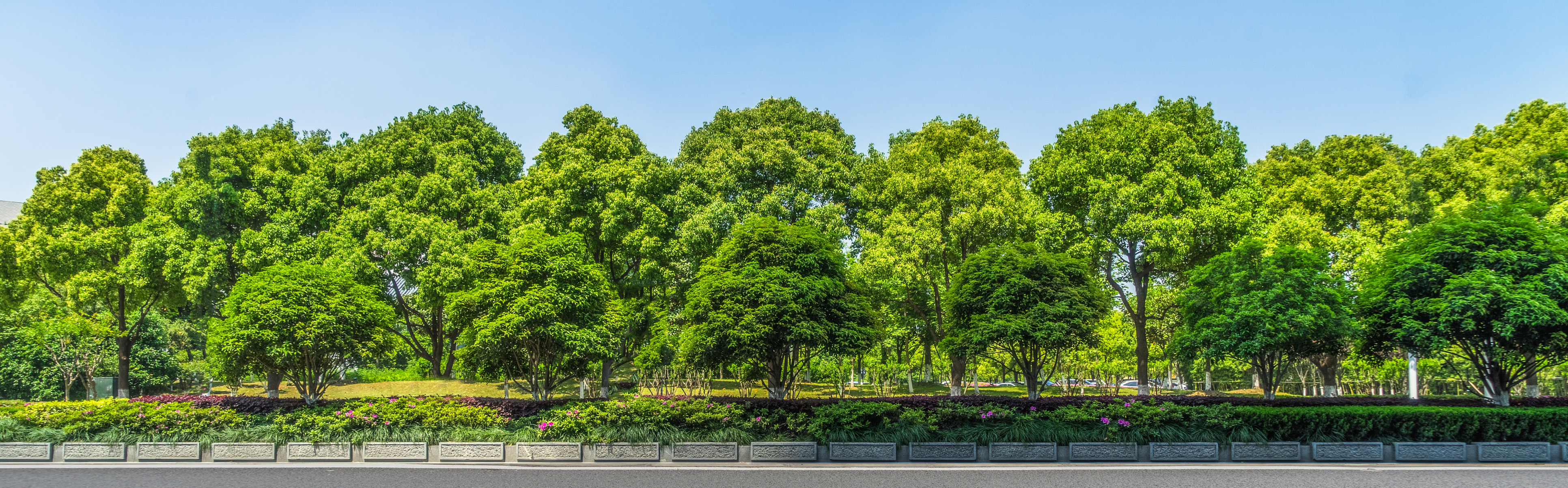 Urban Greening And Tree Conservation Scenic America