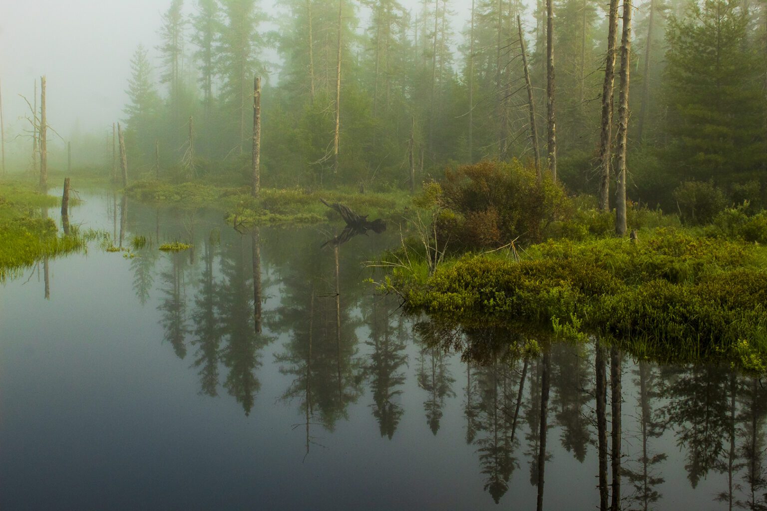 Scenic America's 2023 America the Beautiful Photo Contest Winners ...